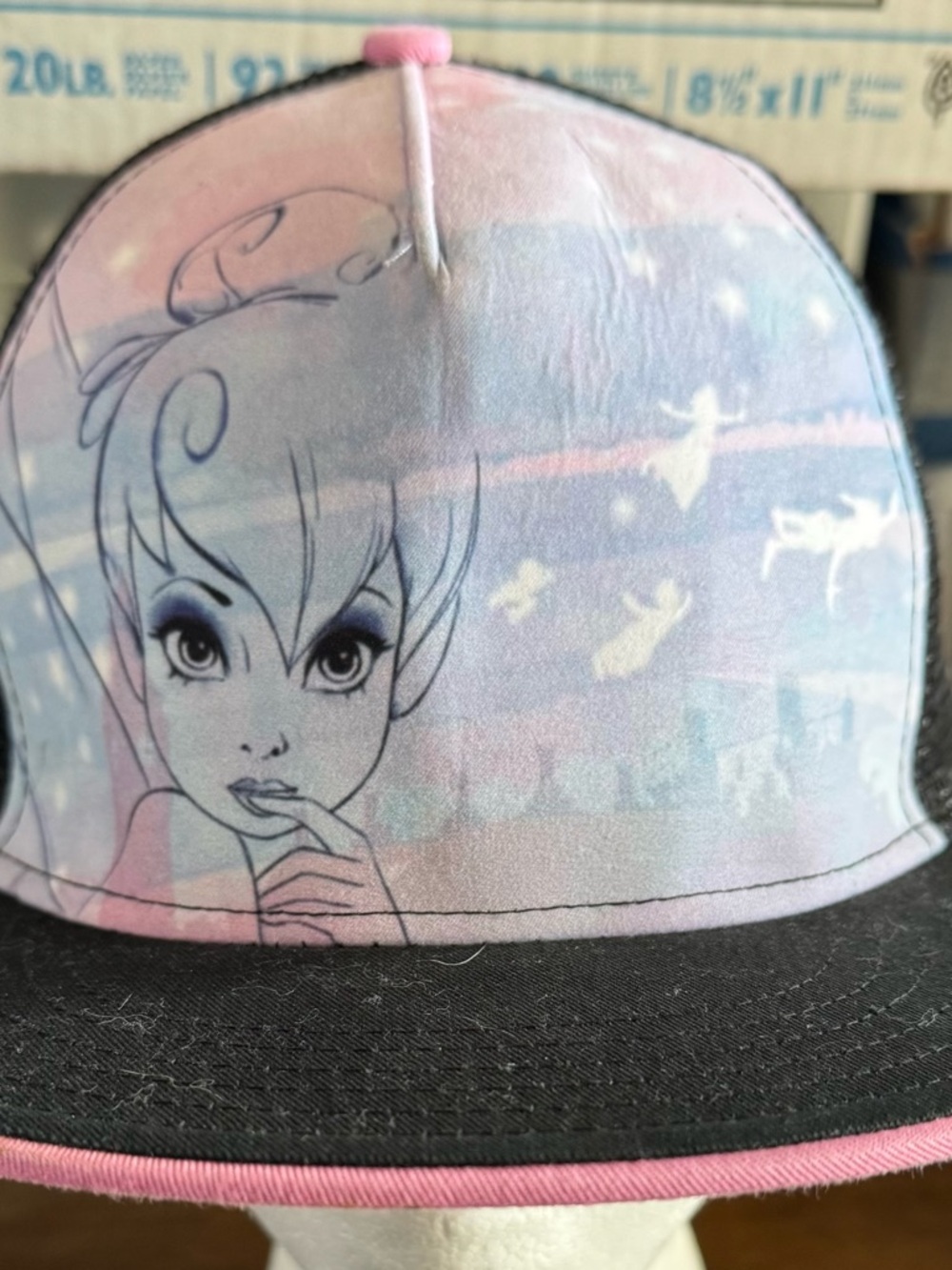 Disney Black Mesh Trucker Hat with Printed Interior